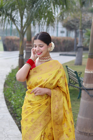 Pure Banarasi Silk With Zari Weaving