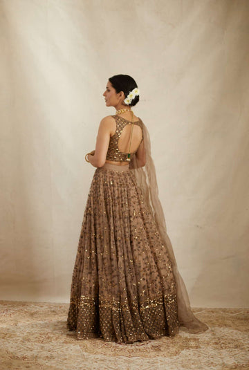 Premium Brown Net Sequins & Zari Embroidered Lehenga Choli Set with Dupatta