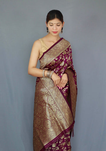 Pure Banarasi Silk With Zari Weaving